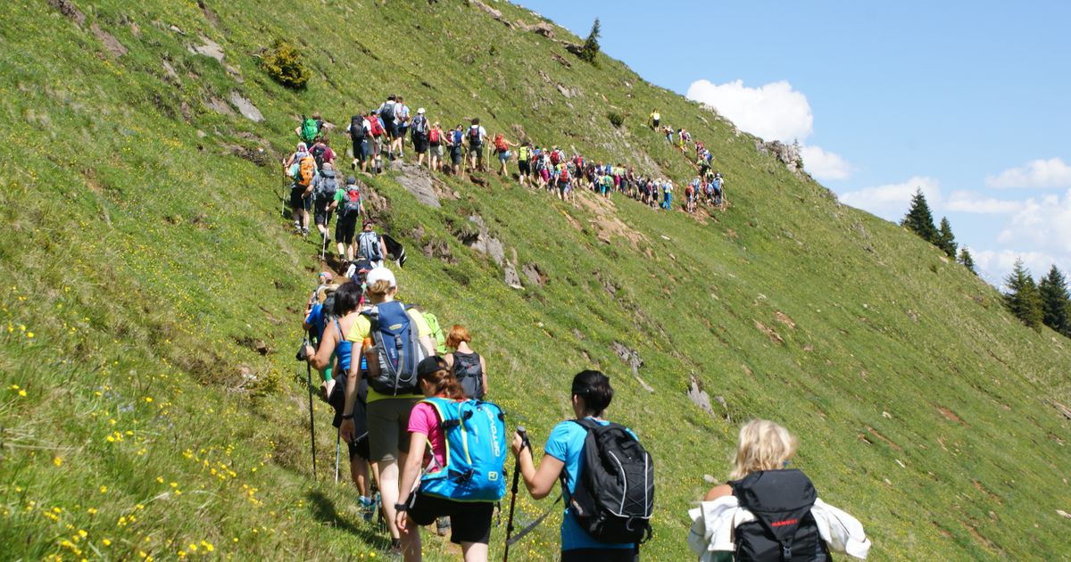 Programma alpinismo giovanile